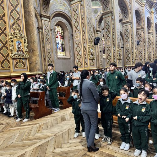 20250513_132907757_iOS